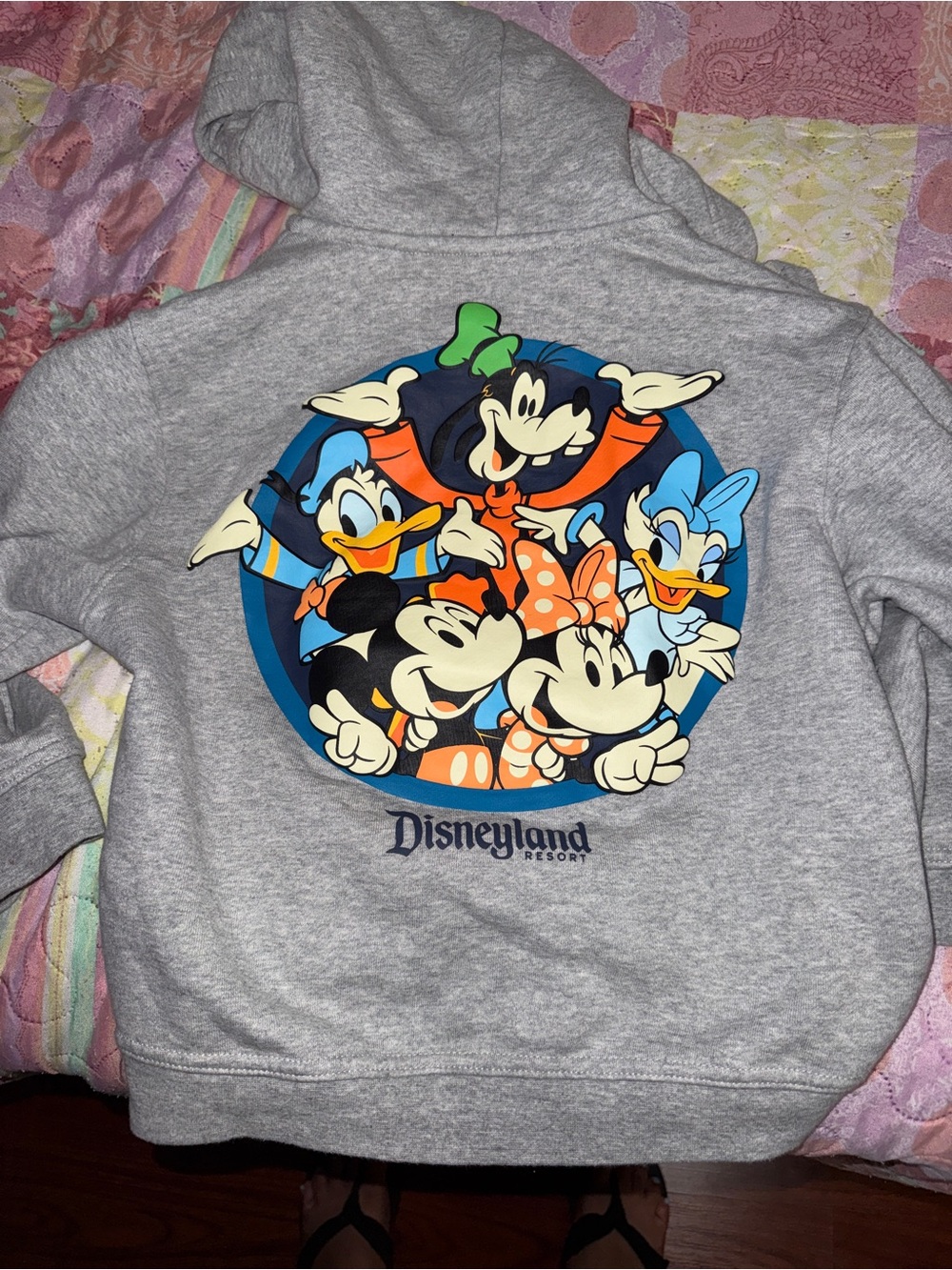 Disneyland Kids' Gray Character Hoodie - Mickey & Friends